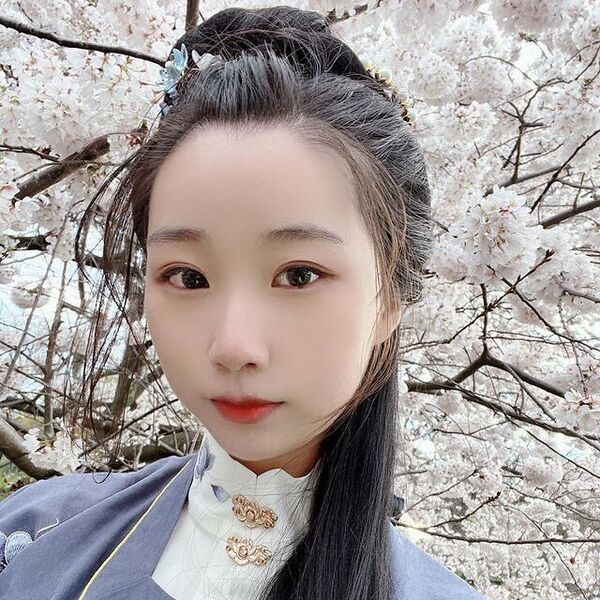 Half Up Asian Hairstyles- an Asian woman wearing an Asian dress